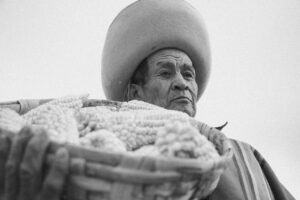 少人数婚におけるサービス料の割引はどのように適用されるのか？