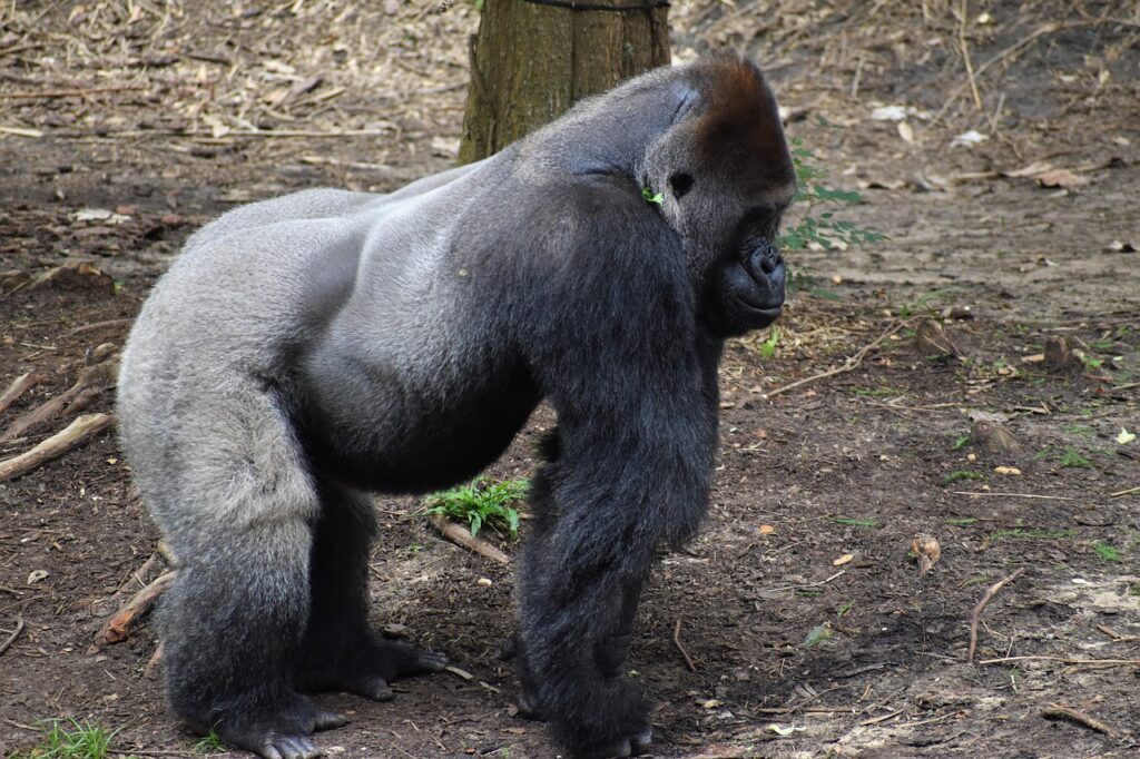 トレンド装飾2025年の会場提案はどのようなものがある？