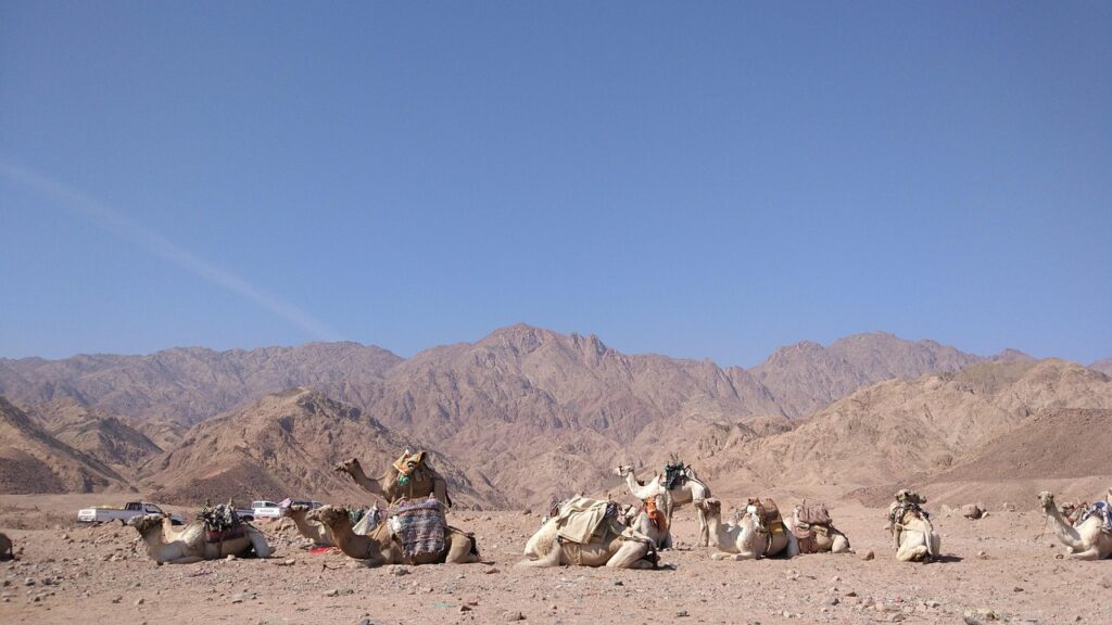 海外リゾート婚礼の会場選びで失敗しないためのポイントは？