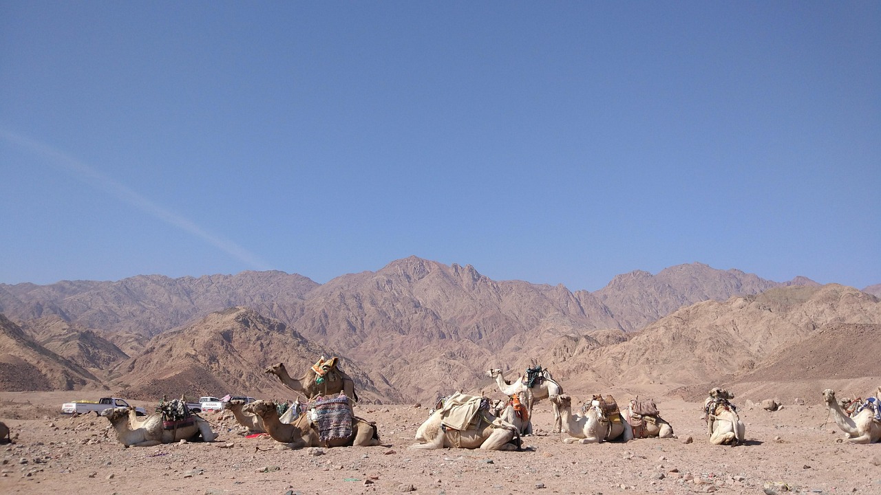 海外リゾート婚礼の会場選びで失敗しないためのポイントは？