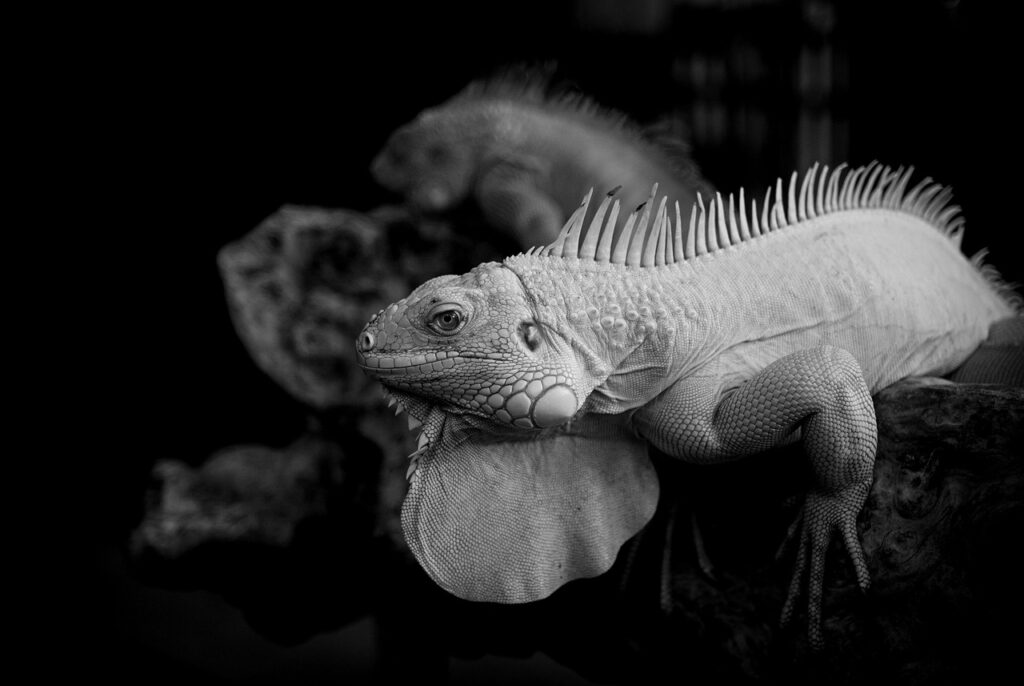 試食とはどのような体験で、何が得られるのか？