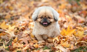 式場見学で土日混雑を避けるコツは？