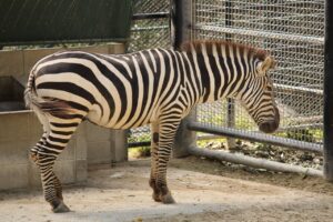 福岡のチャペルを完全貸切するメリットとは？